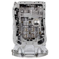 2010 Kia Rondo Engine