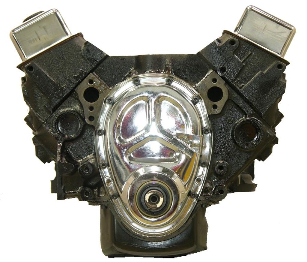 1979 Buick Century Engine